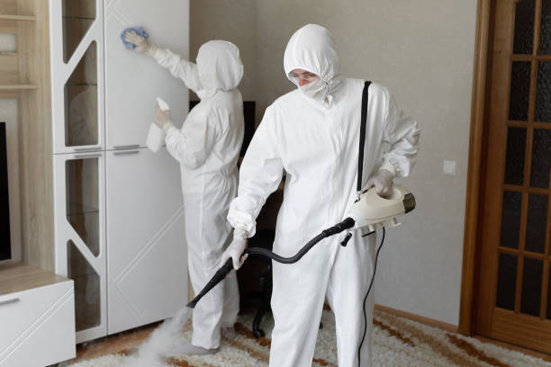 24/7 Emergency Odor Removal experts in Glenside, PA
